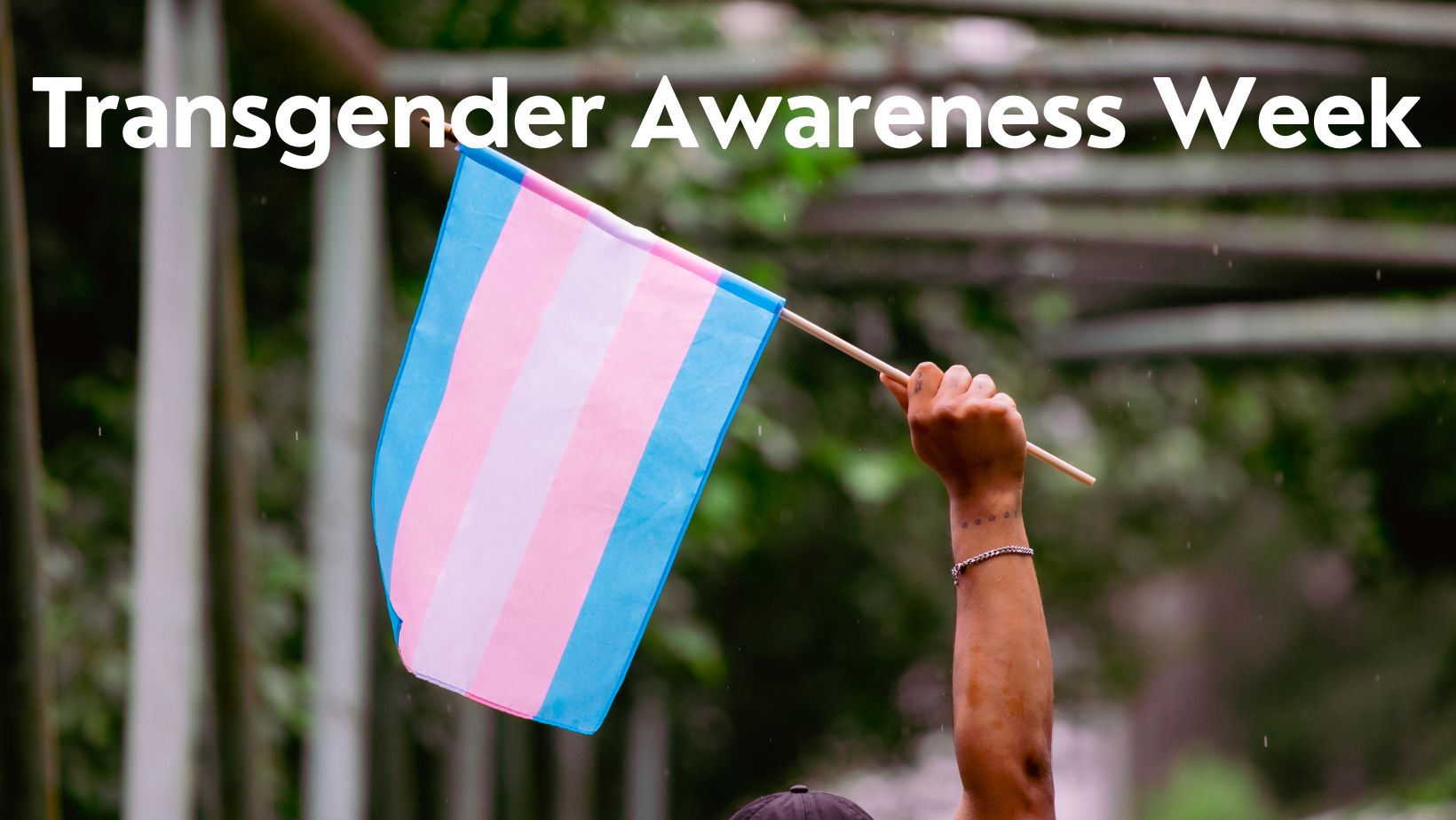 Recognizing Transgender Awareness Week - Teen Think Tank Project