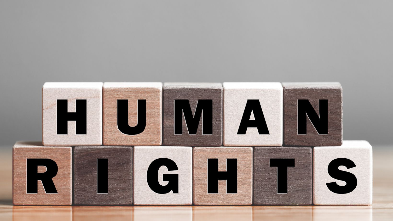 Human Rights Day