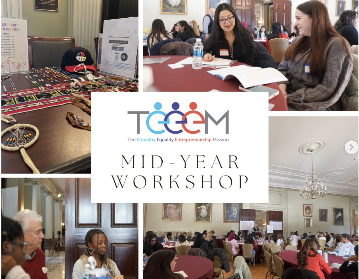 TEEEM Mid-Year Workshop